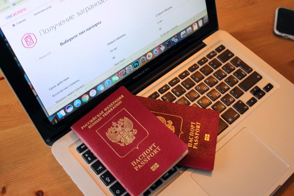 Россия приостановила выдачу загранпаспортов на 10 лет - «Туризм»