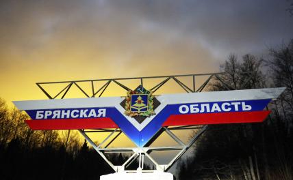 Большие неприятности от мелкой гадости: Брянщина атакована украинскими БПЛА - «Военные действия»
