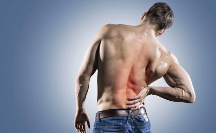 От болей в спине защитят только правильные нагрузки - «Здоровье»