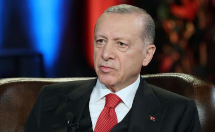 Восточный базар Эрдогана: Швецию — в НАТО, если Турцию — в ЕС - «Политика»