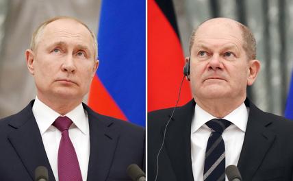 Шольц предлагает Путину сдаться - «Политика»