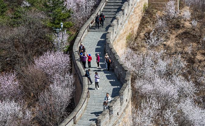 Блокбастер сделать былью: Великая китайская стена-2 — на этот раз подземная - «Мир»