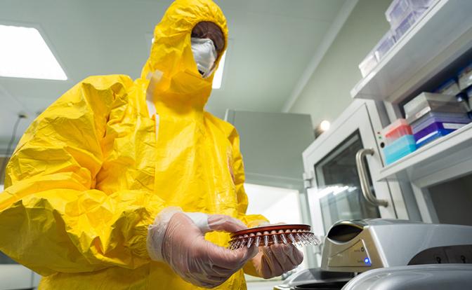 Новосибирская «живодерня» так ничему и не научила? С ветеринарией в России, похоже, покончили - «Экономика»